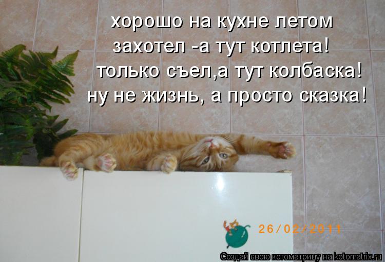 хорошо на кухне летом захотел -а тут котлета! только съел,а тут колбаска! ну не жизнь, а просто сказк... Котоматрица: хорошо на кухне летом захотел -а тут котлета! только съел,а тут колбаска! ну не жизнь, а просто сказка!