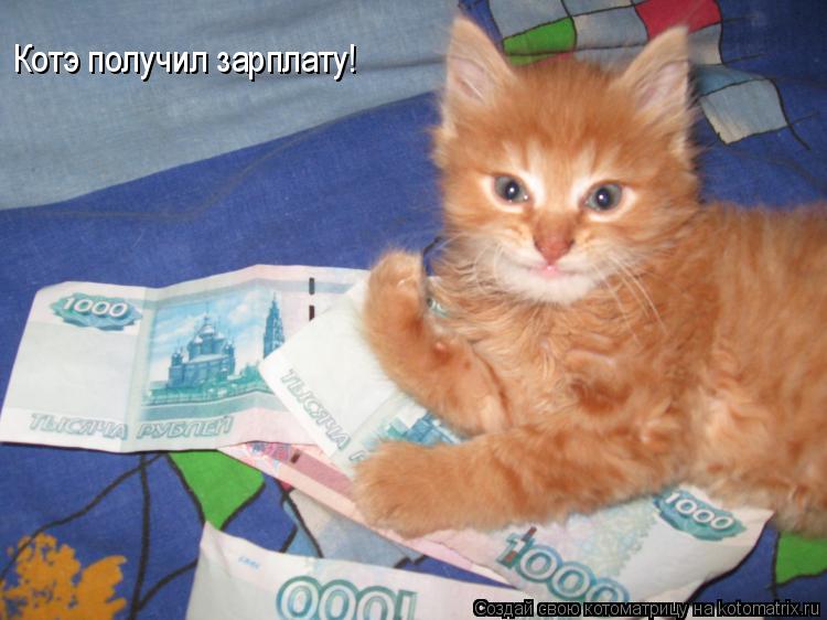 Котэ получил зарплату!... Котоматрица: Котэ получил зарплату!