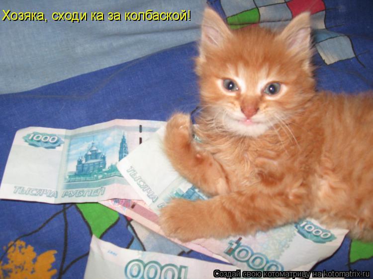 Хозяка, сходи ка за колбаской!... Котоматрица: Хозяка, сходи ка за колбаской!