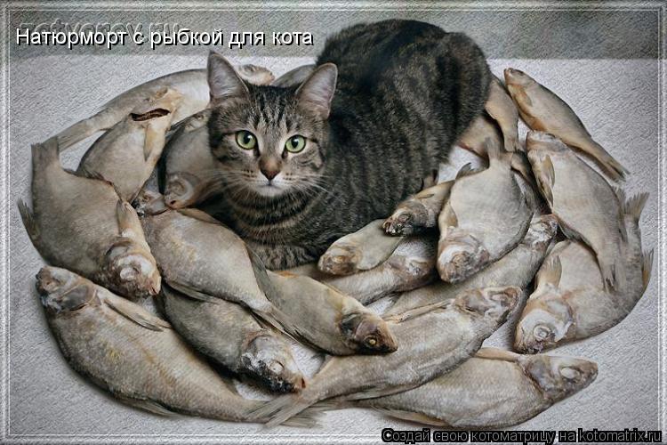 Натюрморт с рыбкой для кота... Котоматрица: Натюрморт с рыбкой для кота
