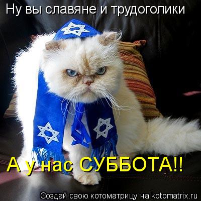 Ну вы славяне и трудоголики А у нас СУББОТА!!... Котоматрица: Ну вы славяне и трудоголики А у нас СУББОТА!!