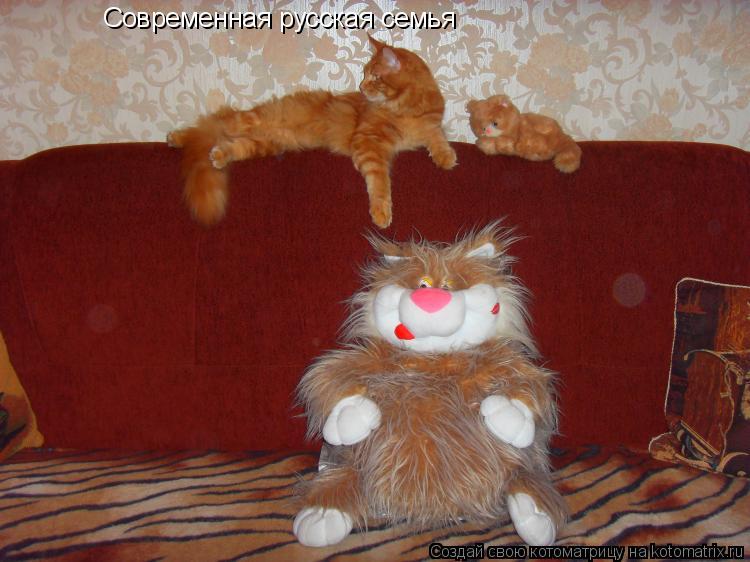 Современная русская семья... Котоматрица: Современная русская семья