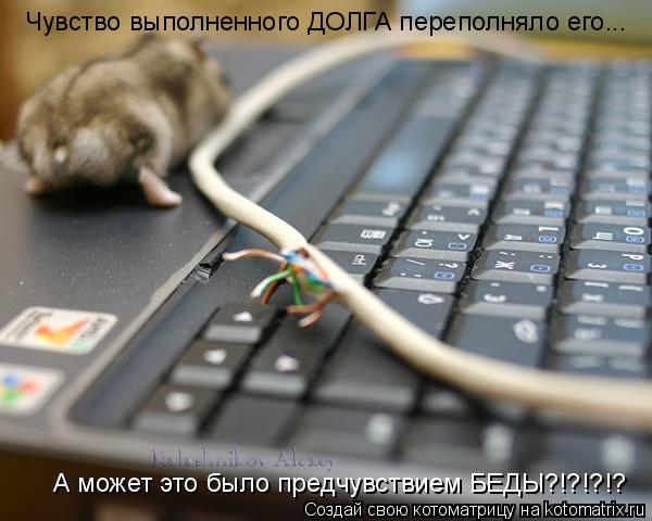 Котоматрица: А может это было предчувствием БЕДЫ?!?!?!? Чувство выполненного ДОЛГА переполняло его...