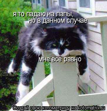 я то падаю на лапы, но в данном случае мне все равно... Котоматрица: я то падаю на лапы, но в данном случае мне все равно