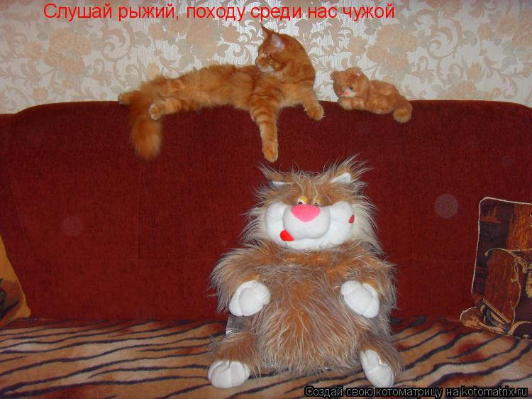 Котоматрица: Слушай рыжий, походу среди нас чужой