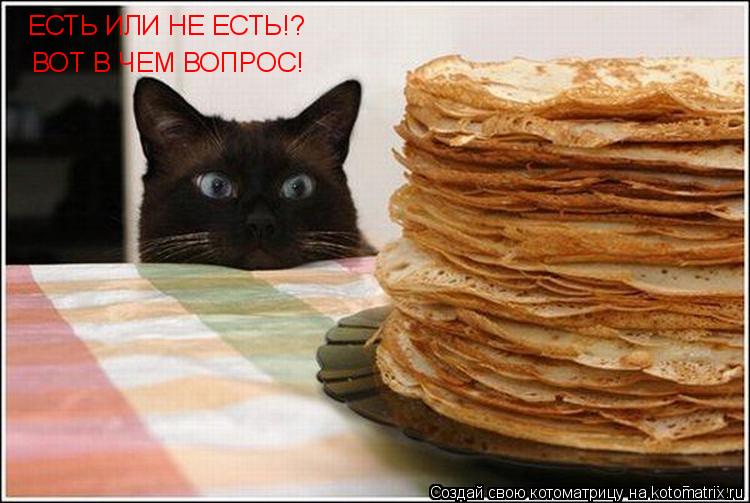 Котоматрица: ВОТ В ЧЕМ ВОПРОС! ЕСТЬ ИЛИ НЕ ЕСТЬ!?