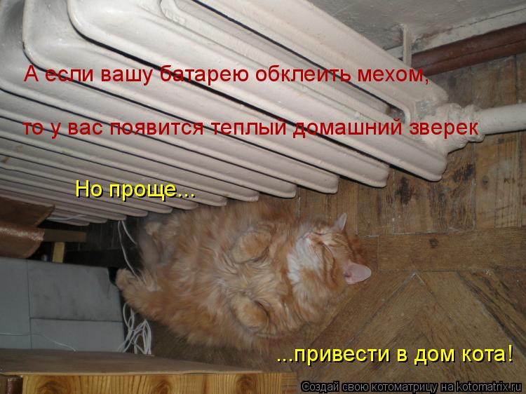 А если вашу батарею обклеить мехом, то у вас появится теплый домашний зверек Но проще... ...привести ... Котоматрица: А если вашу батарею обклеить мехом, то у вас появится теплый домашний зверек Но проще... ...привести в дом кота!
