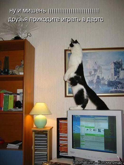 ну и мишень друзья приходите играть в дартс !!!!!!!!!!!!!!!!!!!!!!!!!!!... Котоматрица: ну и мишень друзья приходите играть в дартс !!!!!!!!!!!!!!!!!!!!!!!!!!!