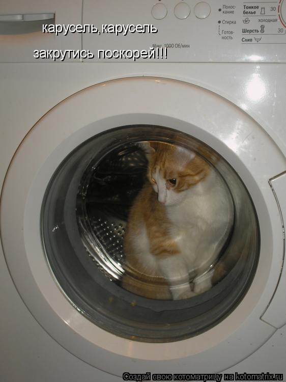 карусель,карусель закрутись поскорей!!!... Котоматрица: карусель,карусель закрутись поскорей!!!