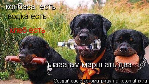 колбаса есть водка есть хлеб есть шааагам марш ать два... Котоматрица: колбаса есть водка есть хлеб есть шааагам марш ать два