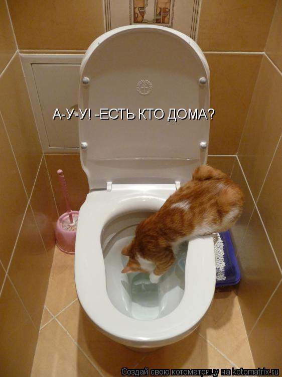А-У-У! -ЕСТЬ КТО ДОМА?... Котоматрица: А-У-У! -ЕСТЬ КТО ДОМА?