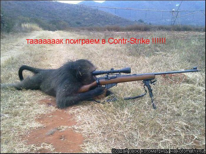 тааааааак поиграем в Contr-Strike !!!!!! тааааааак поиграем в Contr-Strike !!!!!!... Котоматрица: тааааааак поиграем в Contr-Strike !!!!!! тааааааак поиграем в Contr-Strike !!!!!!