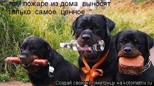 "..при пожаре из дома выносят только самое ценное.."... Котоматрица: "..при пожаре из дома выносят только самое ценное.."