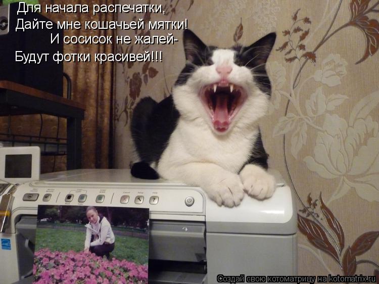 Для начала распечатки, Дайте мне кошачьей мятки! И сосисок не жалей- Будут фотки красивей!!!... Котоматрица: Для начала распечатки, Дайте мне кошачьей мятки! И сосисок не жалей- Будут фотки красивей!!!