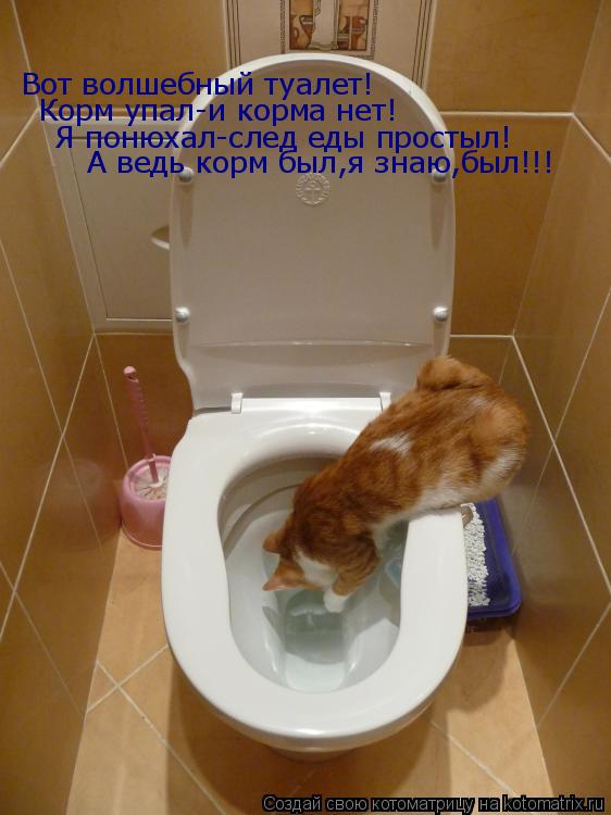 Вот волшебный туалет! Корм упал-и корма нет! Я понюхал-след еды простыл! А ведь корм был,я знаю,был!!... Котоматрица: Вот волшебный туалет! Корм упал-и корма нет! Я понюхал-след еды простыл! А ведь корм был,я знаю,был!!!