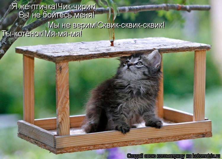 Я же птичка!Чик-чирик! Вы не бойтесь меня! Мы не верим!Сквик-сквик-сквик! Ты-котёнок!Мя-мя-мя!... Котоматрица: Я же птичка!Чик-чирик! Вы не бойтесь меня! Мы не верим!Сквик-сквик-сквик! Ты-котёнок!Мя-мя-мя!