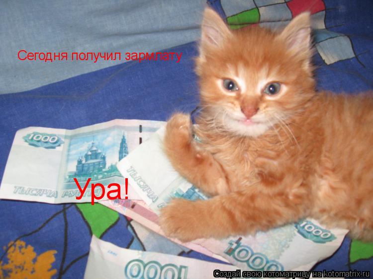 Сегодня получил зармлату Ура!... Котоматрица: Сегодня получил зармлату Ура!