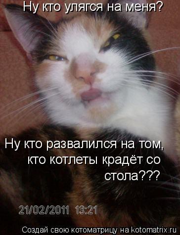 Котоматрица: Ну кто улягся на меня? Ну кто развалился на том, кто котлеты крадёт со стола???