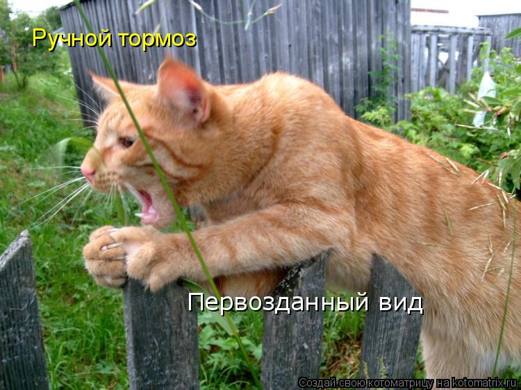 Котоматрица: Ручной тормоз Первозданный вид