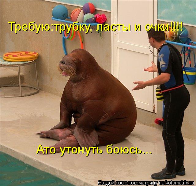 Котоматрица: Требую:трубку, ласты и очки!!!! Ато утонуть боюсь...