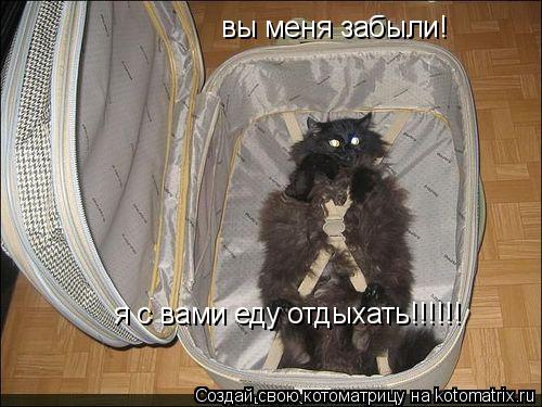 Котоматрица: вы меня забыли! я с вами еду отдыхать!!!!!!