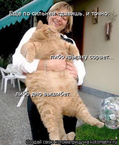 Котоматрица: либо дно вышибет... либо крышку сорвет... Еще по сильней сдавишь, и точно: