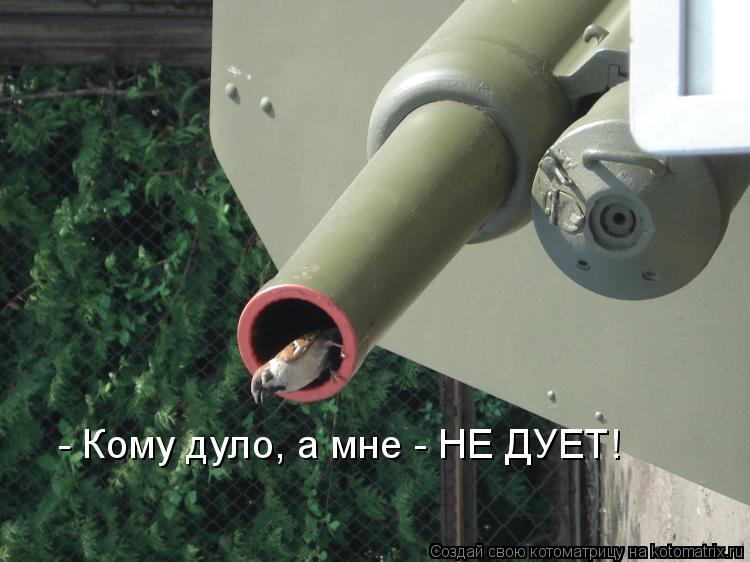 - Кому дуло, а мне - НЕ ДУЕТ!... Котоматрица: - Кому дуло, а мне - НЕ ДУЕТ!