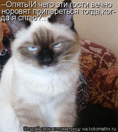 --Опять!И чего эти гости вечно норовят припереться тогда,ког- да я сплю?..... Котоматрица: --Опять!И чего эти гости вечно норовят припереться тогда,ког- да я сплю?..