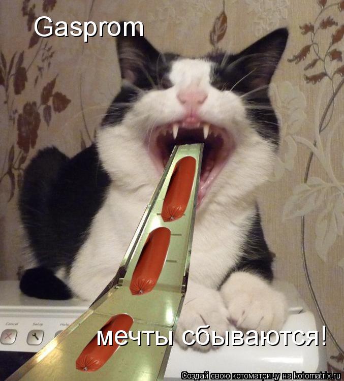 Gasprom мечты сбываются!... Котоматрица: Gasprom мечты сбываются!