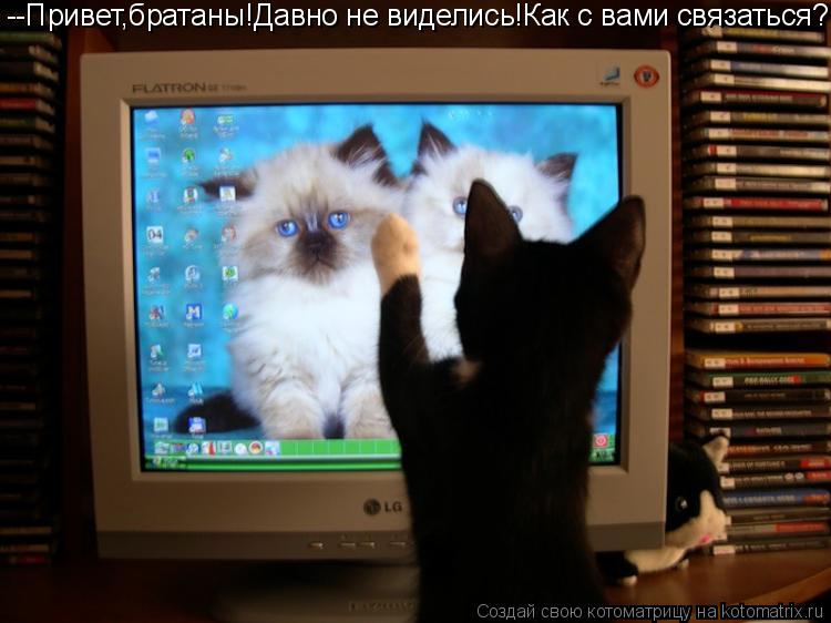 --Привет,братаны!Давно не виделись!Как с вами связаться?... Котоматрица: --Привет,братаны!Давно не виделись!Как с вами связаться?