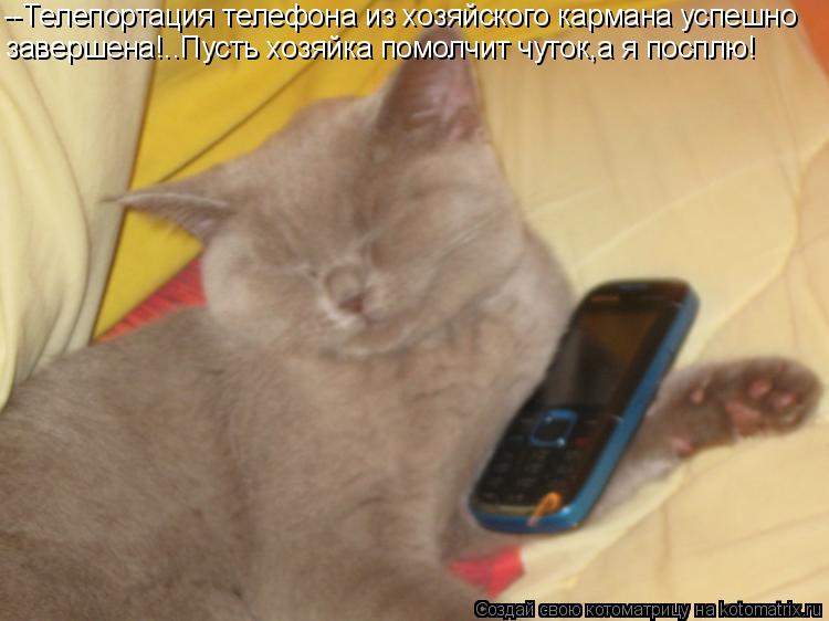 --Телепортация телефона из хозяйского кармана успешно завершена!..Пусть хозяйка помолчит чуток,а я по... Котоматрица: --Телепортация телефона из хозяйского кармана успешно завершена!..Пусть хозяйка помолчит чуток,а я посплю!