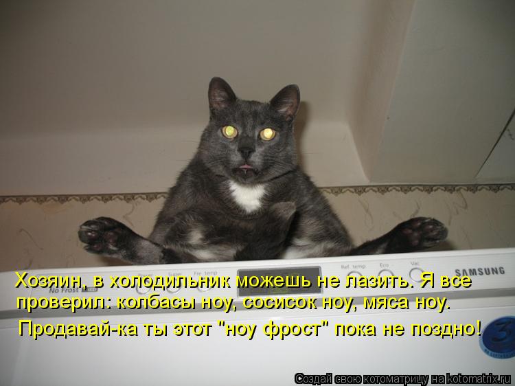 Хозяин, в холодильник можешь не лазить. Я все проверил: колбасы ноу, сосисок ноу, мяса ноу. Продава... Котоматрица: Хозяин, в холодильник можешь не лазить. Я все проверил: колбасы ноу, сосисок ноу, мяса ноу. Продавай-ка ты этот "ноу фрост" пока не поздно!