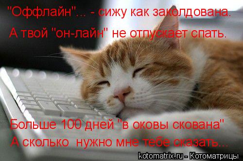 "Оффлайн"... - сижу как заколдована. А твой "он-лайн" не отпускает спать. Больше 100 дней "в оковы ск... Котоматрица: "Оффлайн"... - сижу как заколдована. А твой "он-лайн" не отпускает спать. Больше 100 дней "в оковы скована" А сколько нужно мне тебе сказать...