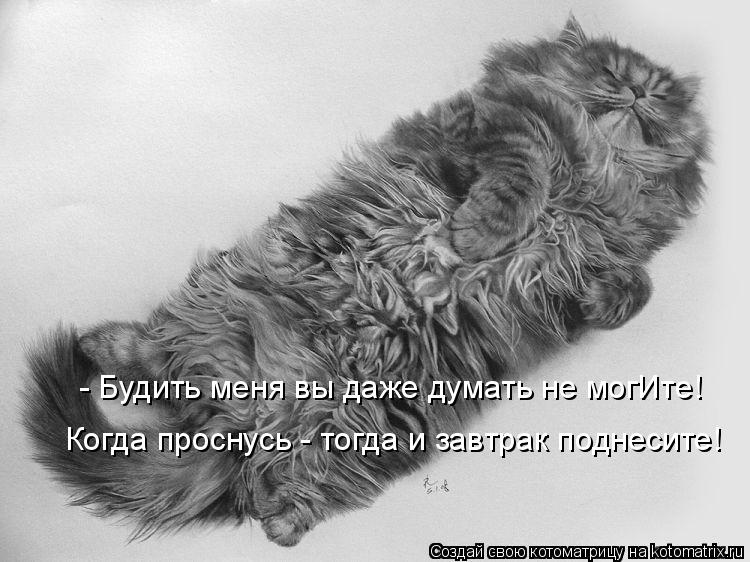 - Будить меня вы даже думать не могИте! Когда проснусь - тогда и завтрак поднесите!... Котоматрица: - Будить меня вы даже думать не могИте! Когда проснусь - тогда и завтрак поднесите!