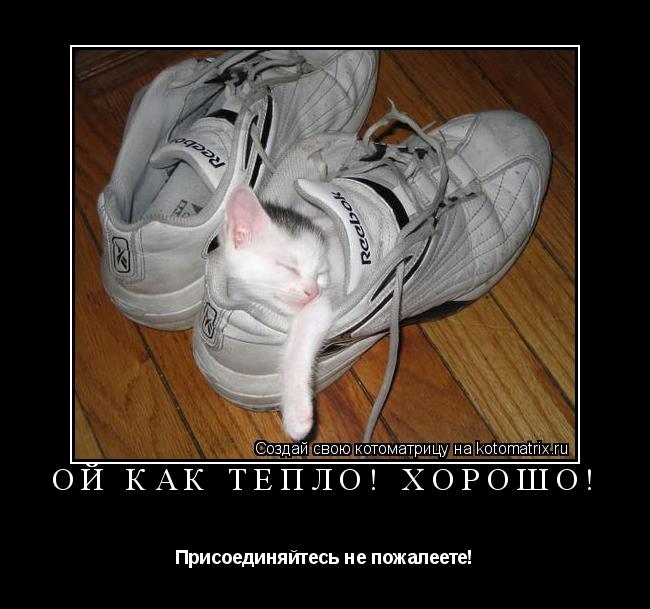 Котоматрица: Ой как тепло! Хорошо! Присоединяйтесь не пожалеете!