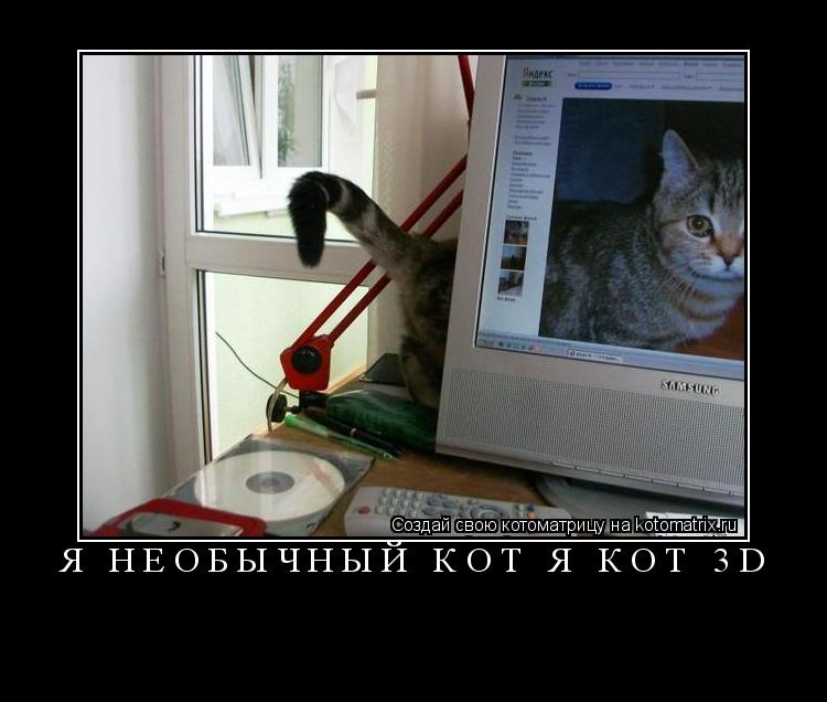 я необычный кот я кот 3D ... Котоматрица: я необычный кот я кот 3D