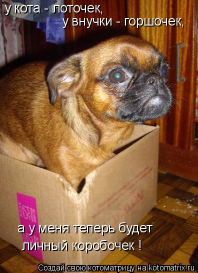у кота - лоточек, у внучки - горшочек, а у меня теперь будет личный коробочек !... Котоматрица: у кота - лоточек, у внучки - горшочек, а у меня теперь будет личный коробочек !