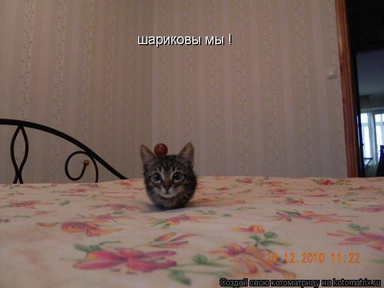 шариковы мы !... Котоматрица: шариковы мы !