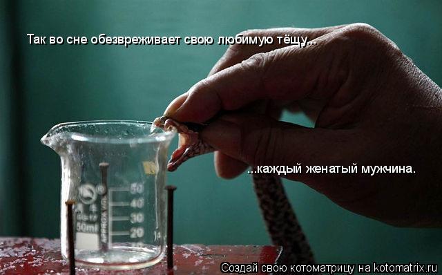 Так во сне обезвреживает свою любимую тёщу... ...каждый женатый мужчина.... Котоматрица: Так во сне обезвреживает свою любимую тёщу... ...каждый женатый мужчина.