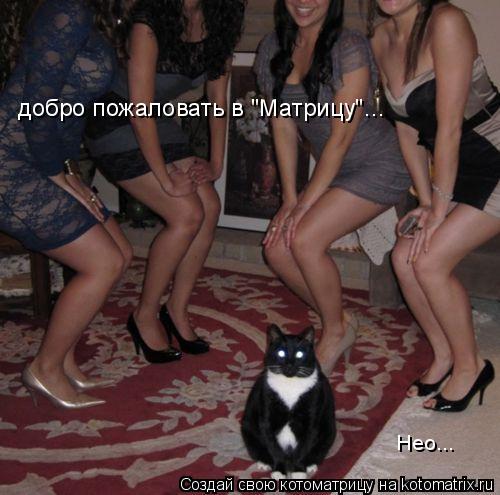 добро пожаловать в "Матрицу"... Нео...... Котоматрица: добро пожаловать в "Матрицу"... Нео...