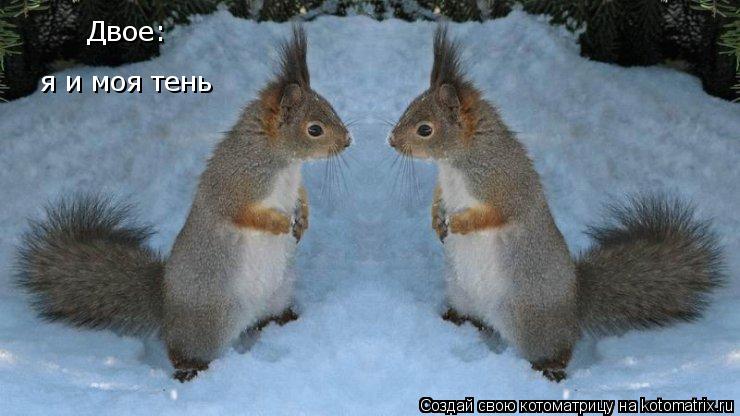 Двое: я и моя тень... Котоматрица: Двое: я и моя тень