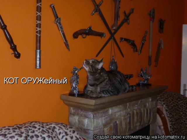 КОТ ОРУЖейный... Котоматрица: КОТ ОРУЖейный