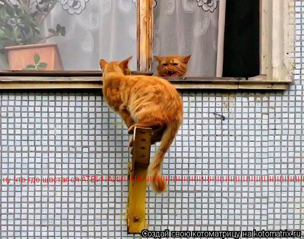 ну что где шастался АТВИЧАЙ!!!!!!!!!!!!!!!!!!!!!!!!!!!!!!!!!!!!!!!!!!!!!!!!!!!!!!!!!!!!!!!!!!!!!!!!!1... Котоматрица: ну что где шастался АТВИЧАЙ!!!!!!!!!!!!!!!!!!!!!!!!!!!!!!!!!!!!!!!!!!!!!!!!!!!!!!!!!!!!!!!!!!!!!!!!!1