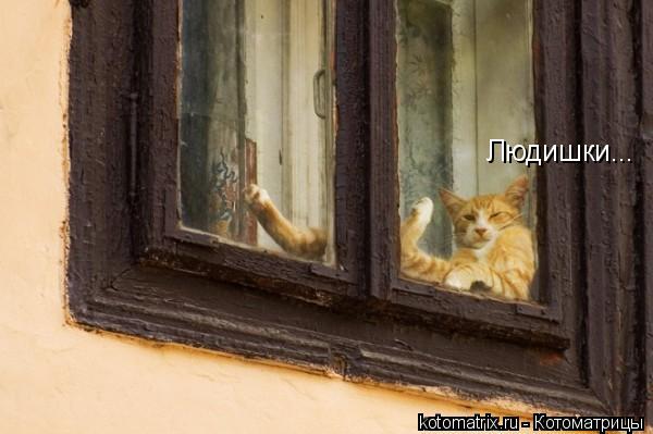 Людишки...... Котоматрица: Людишки...