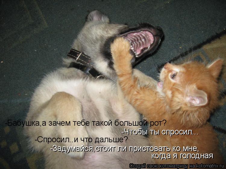 -Бабушка,а зачем тебе такой большой рот? -Чтобы ты спросил... -Спросил..и что дальше? -Задумайся,стои... Котоматрица: -Бабушка,а зачем тебе такой большой рот? -Чтобы ты спросил... -Спросил..и что дальше? -Задумайся,стоит ли пристовать ко мне, когда я голодная