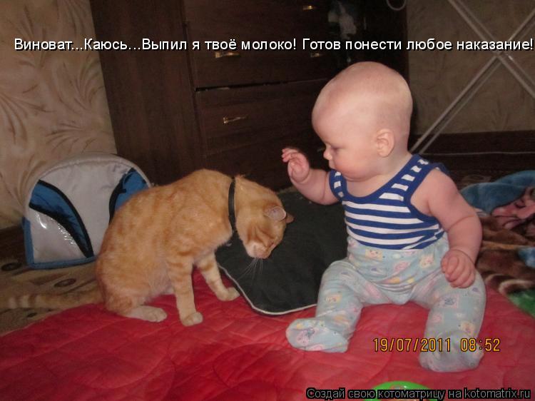 Котоматрица: Виноват...Каюсь...Выпил я твоё молоко! Готов понести любое наказание!