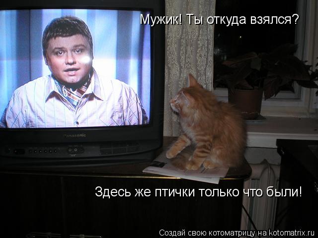 Котоматрица: Мужик! Ты откуда взялся? Здесь же птички только что были!