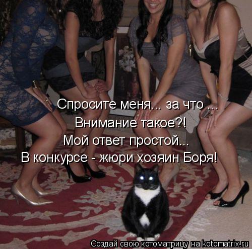 Котоматрица: Спросите меня... за что ... Внимание такое?! Мой ответ простой... В конкурсе - жюри хозяин Боря!
