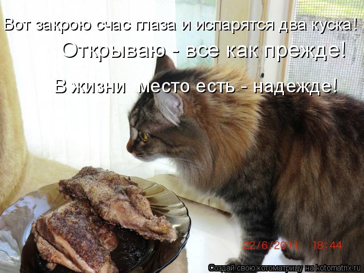 Вот закрою счас глаза и испарятся два куска! Открываю - все как прежде! В жизни место есть - надежде... Котоматрица: Вот закрою счас глаза и испарятся два куска! Открываю - все как прежде! В жизни место есть - надежде!