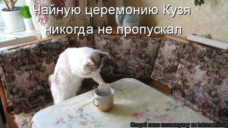 Чайную церемонию Кузя никогда не пропускал... Котоматрица: Чайную церемонию Кузя никогда не пропускал